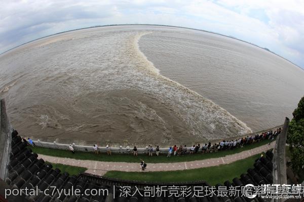 深入剖析竞彩足球最新赔率走势与稳胆方法