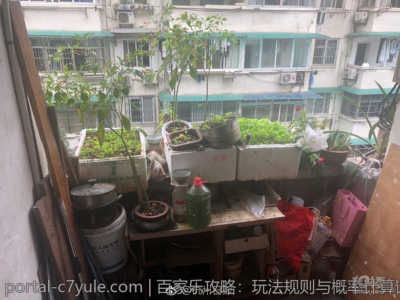 百家乐攻略：玩法规则与概率计算详解